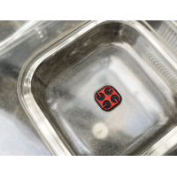 Ambrogio Pozzi Amanda ijsemmer